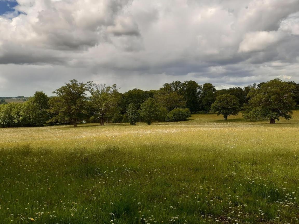 Domaine Des Roches Blanches Le Pin (Deux-Sevres) Exterior foto