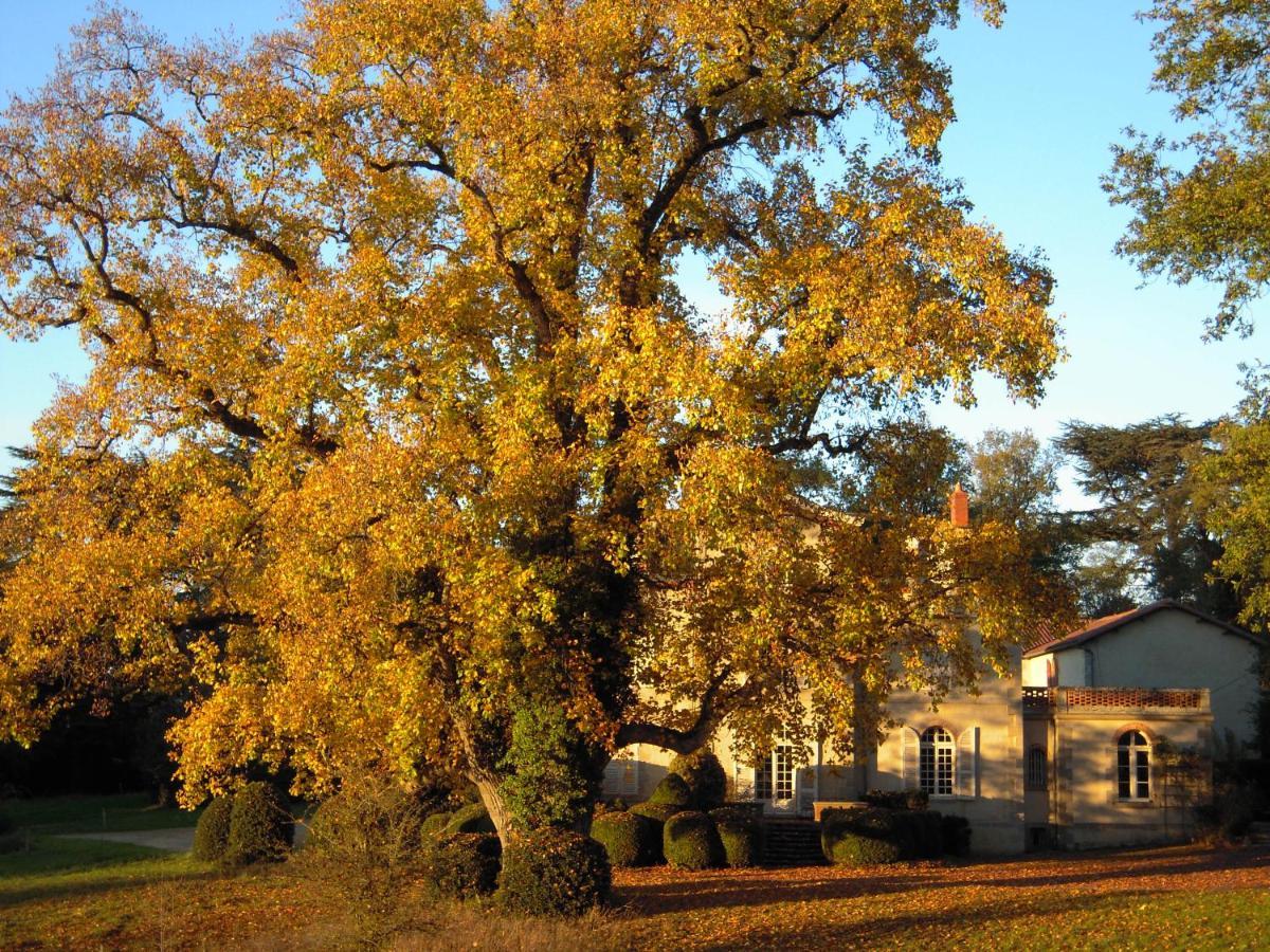 Domaine Des Roches Blanches Le Pin (Deux-Sevres) Exterior foto