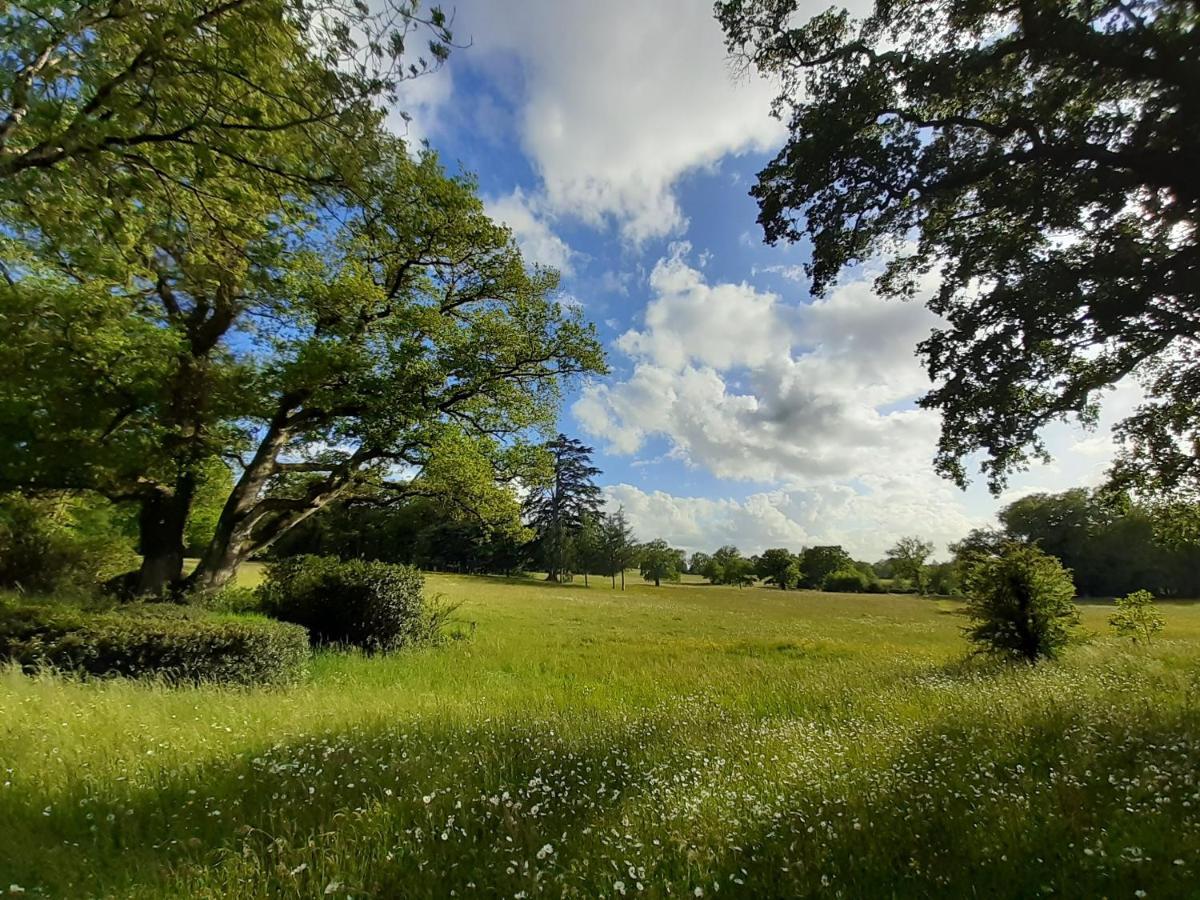 Domaine Des Roches Blanches Le Pin (Deux-Sevres) Exterior foto