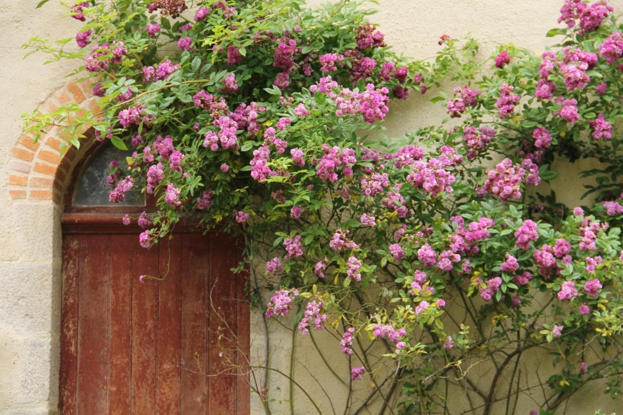 Domaine Des Roches Blanches Le Pin (Deux-Sevres) Exterior foto