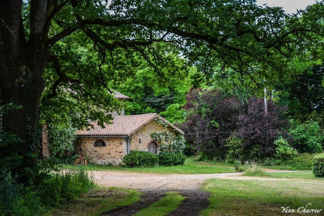 Domaine Des Roches Blanches Le Pin (Deux-Sevres) Exterior foto