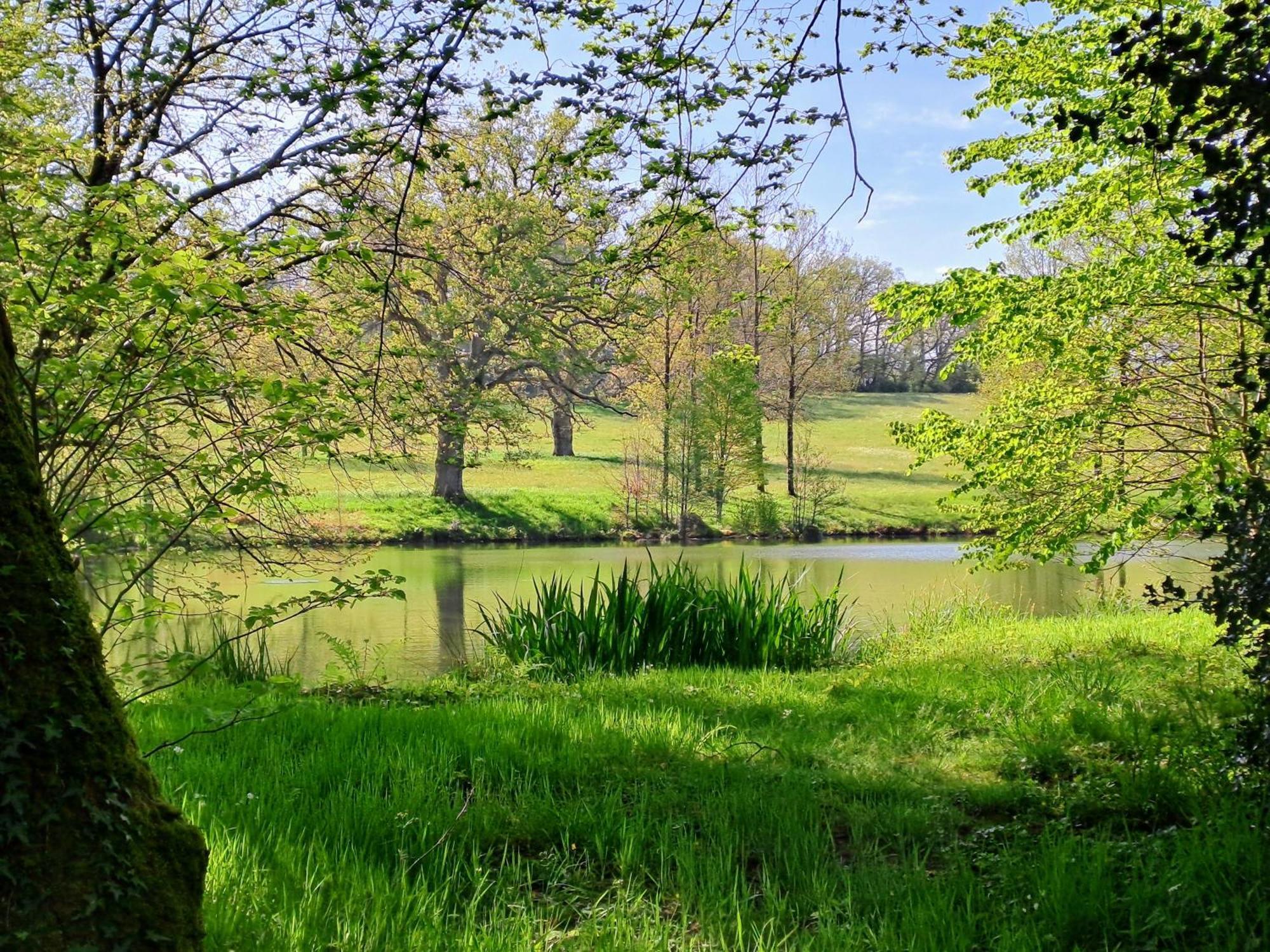 Domaine Des Roches Blanches Le Pin (Deux-Sevres) Exterior foto