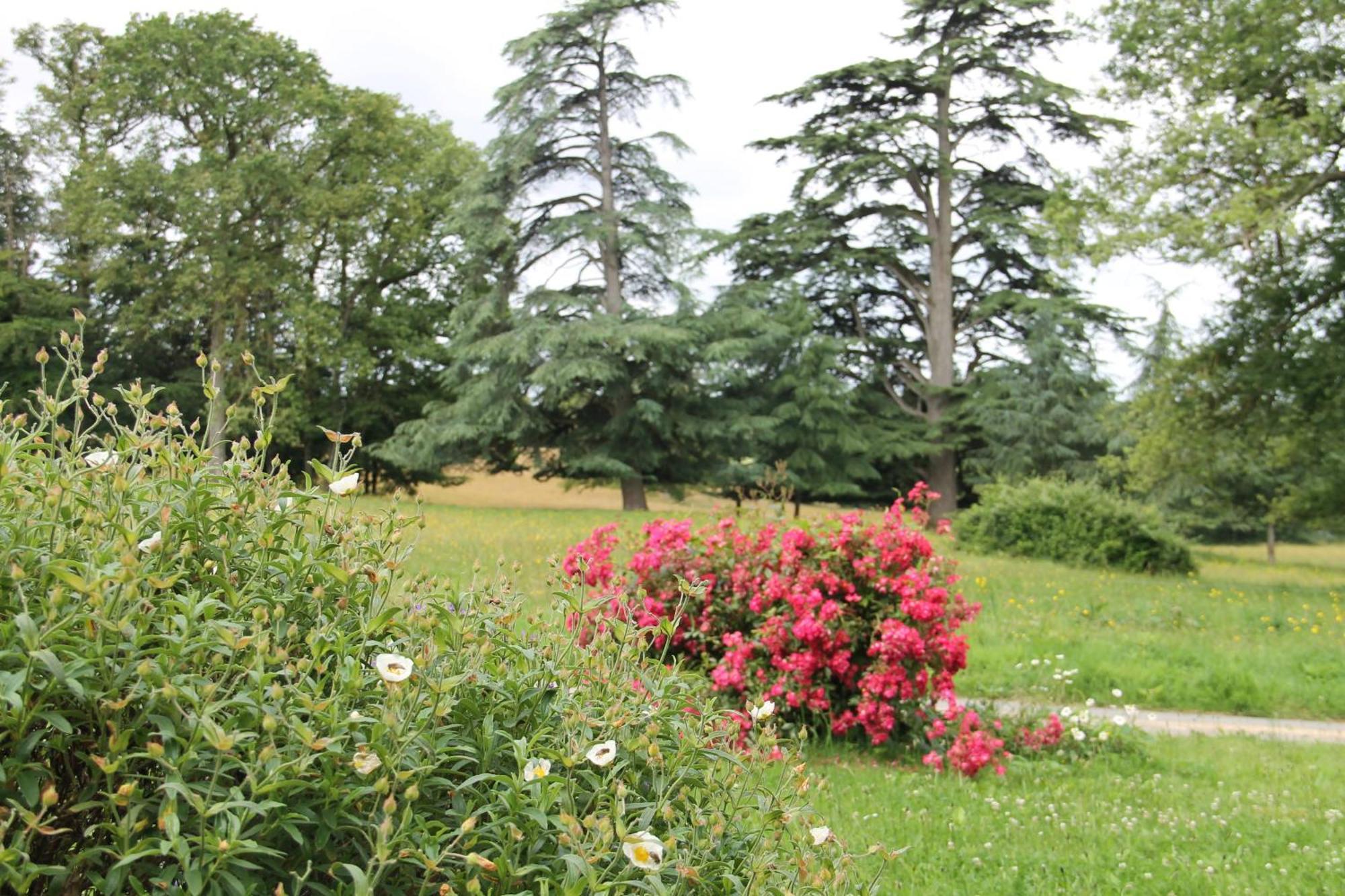Domaine Des Roches Blanches Le Pin (Deux-Sevres) Exterior foto