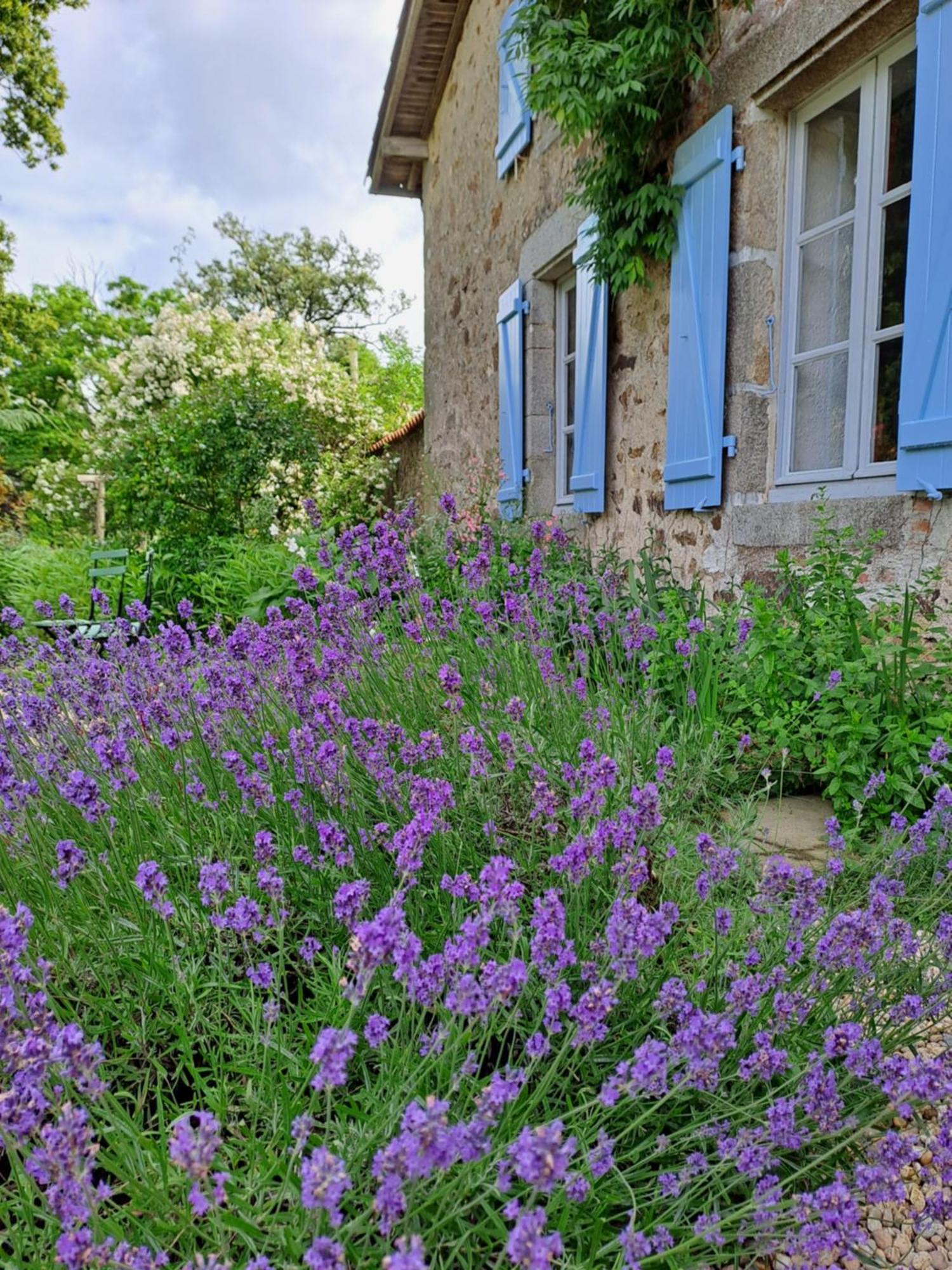 Domaine Des Roches Blanches Le Pin (Deux-Sevres) Exterior foto