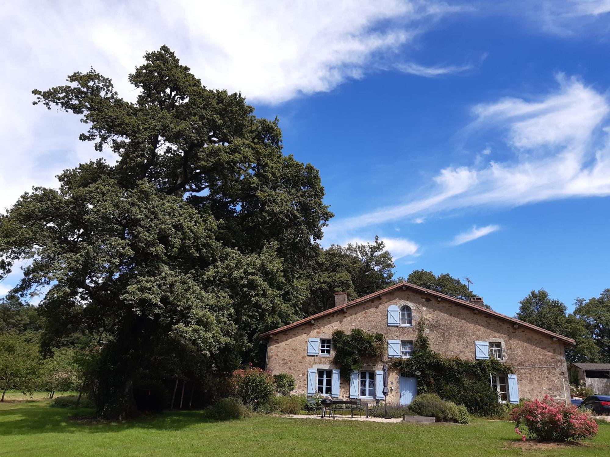 Domaine Des Roches Blanches Le Pin (Deux-Sevres) Exterior foto